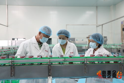 甘肅臨澤 一企一策強鏈條，梯度培育匯集群
